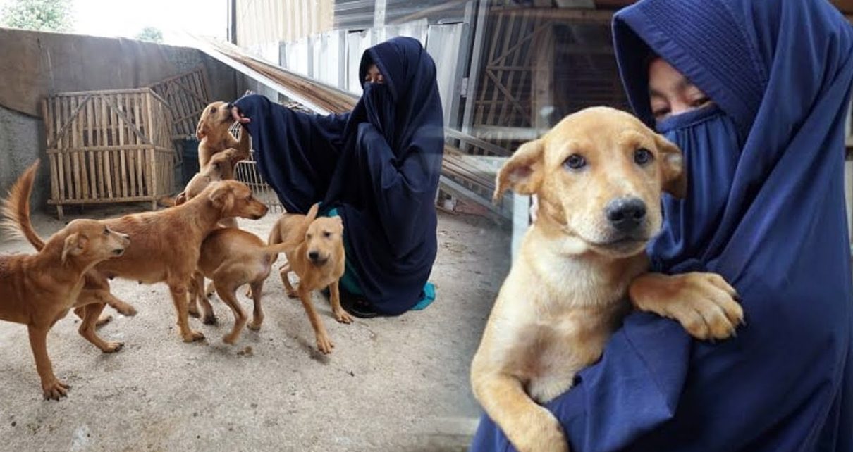 Viral Wanita Bercadar Rawat Puluhan Ekor Anjing Ditolak Ormas